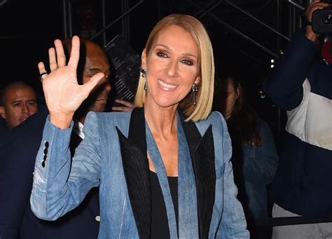 celine net worth 2017|how rich is celine dion.